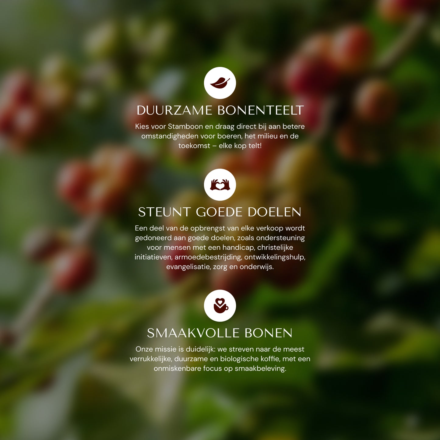 Purpura Decaf Blend (1KG)