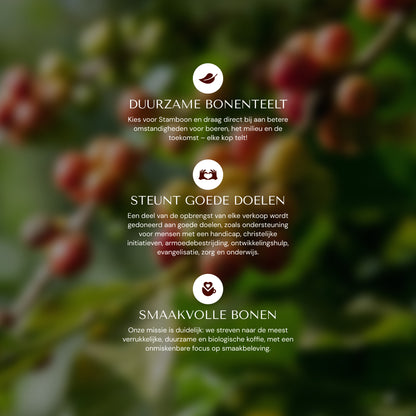 Purpura Decaf Blend (1KG)